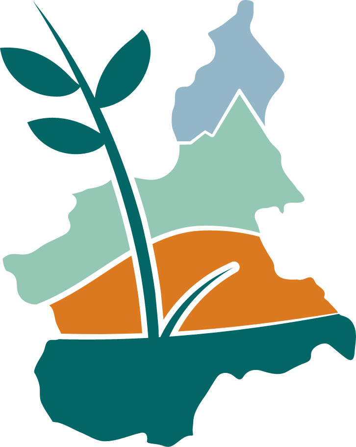 Immagine Stilizzata regione Piemonte